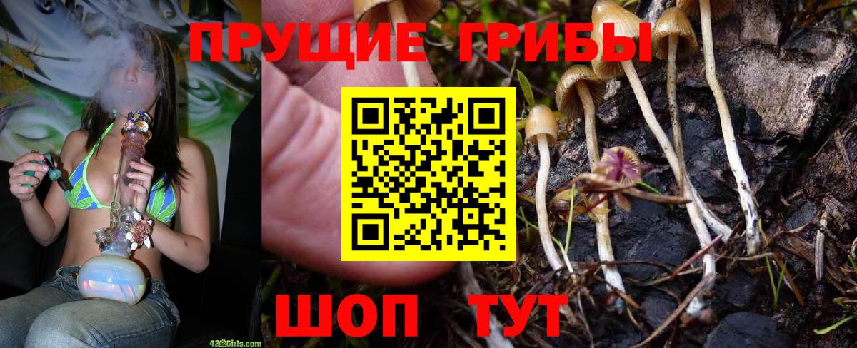 Менделеевск  Псилоцибиновые грибы мицелий  Вход с VPN 